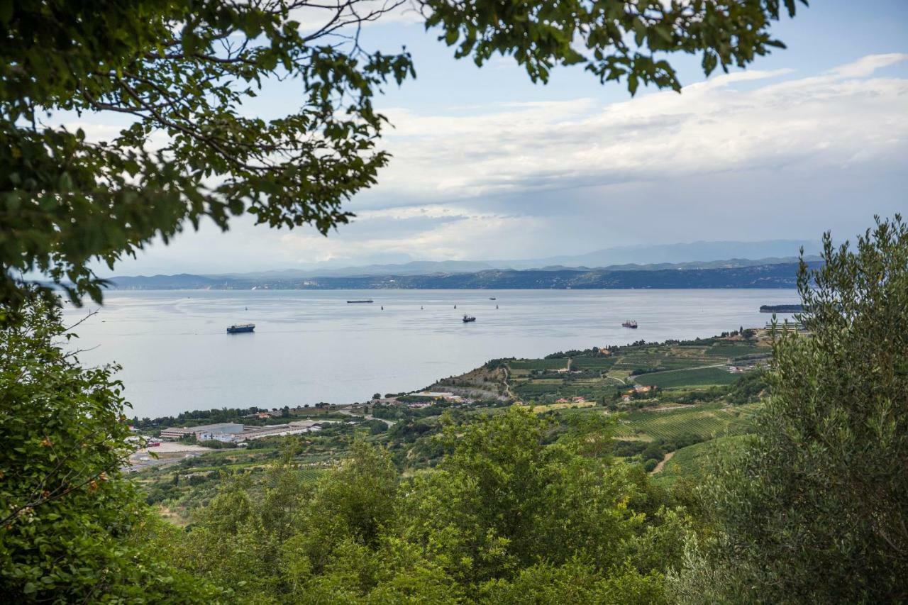 Apartments Baredi Izola Buitenkant foto